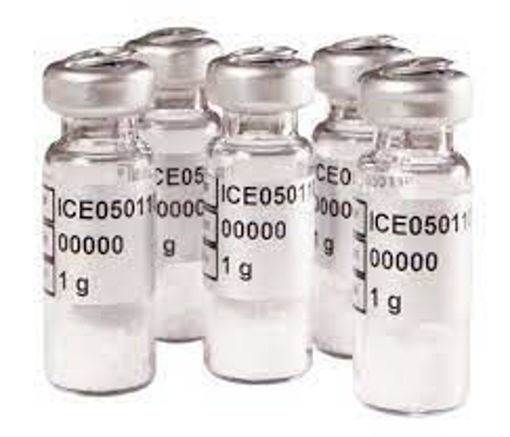 Imagen de I050110P  HUESO SINTETICO